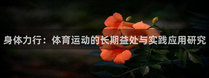 三亿体育网页版：身体力行：体育运动的长期益处与实践应用研究