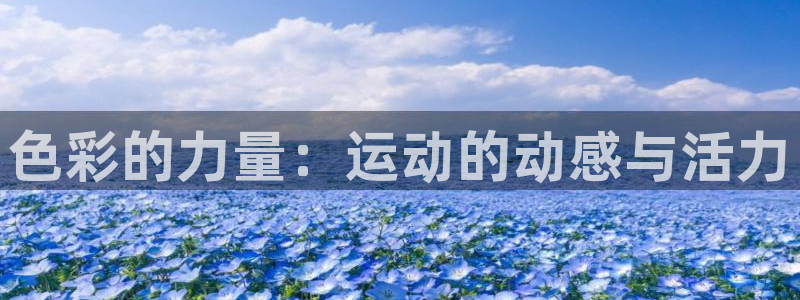 三亿体育网：色彩的力量：运动的动感与活力