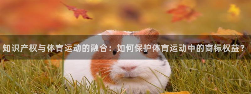 三亿体育：知识产权与体育运动的融合：如何保护体育运动中的商标权益？