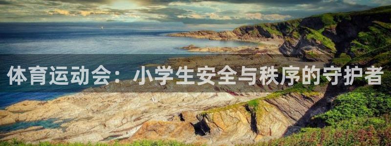 三亿体育：体育运动会：小学生安全与秩序的守护者