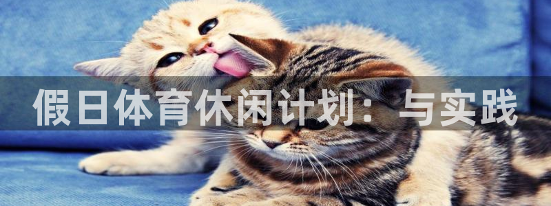 三亿体育：假日体育休闲计划：与实践