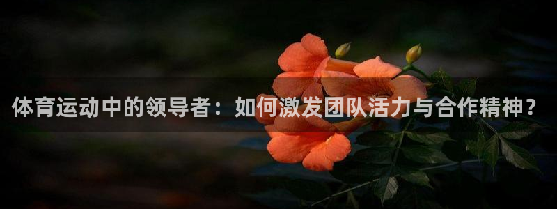 三亿体育网页版：体育运动中的领导者：如何激发团队活力与合作精神？