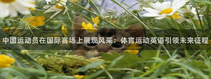 三亿体育网：中国运动员在国际赛场上展现风采：体育运动英语引领未来征程
